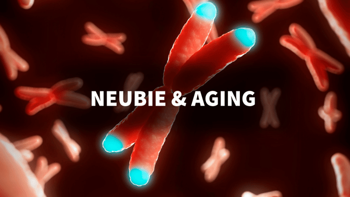 neubie and aging